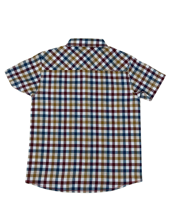 Boy's Multicolor Checks Shirt