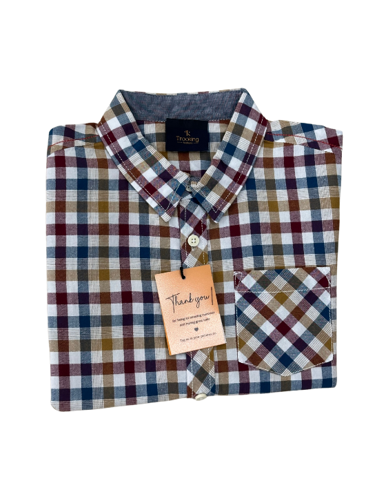 Boy's Multicolor Checks Shirt